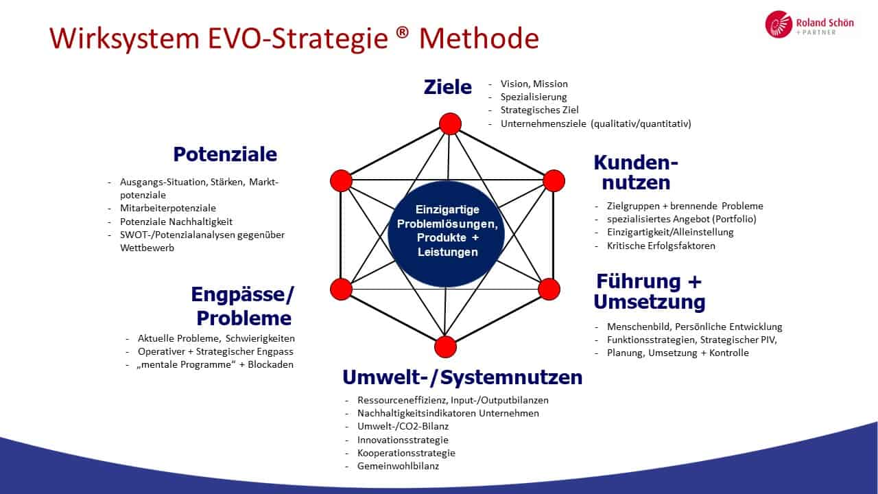 Grafik Wirksysteme der EVO-Strategie